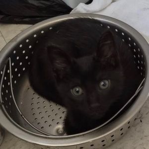 Meet your Posher, Juan